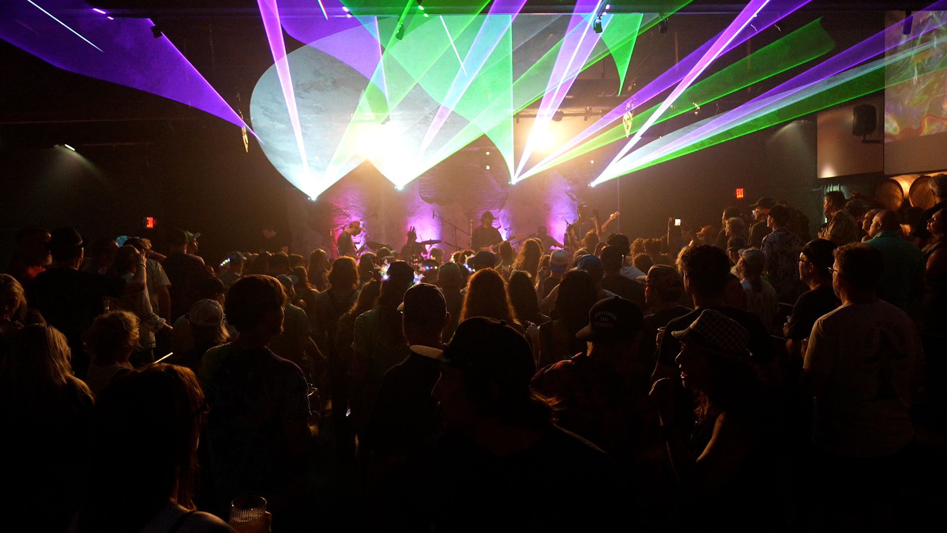 Concert audience